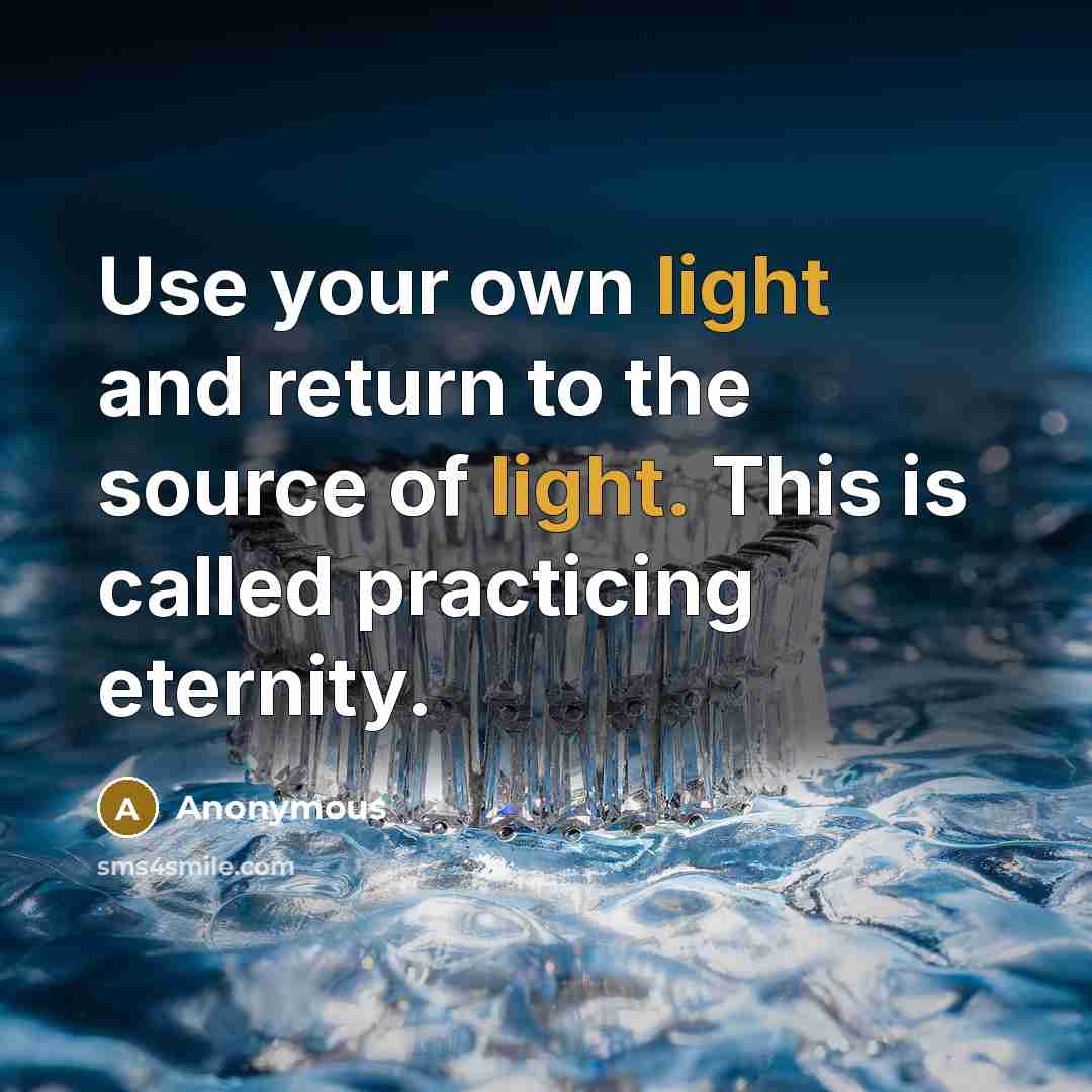 “Use your own light and return to the source of light. This is called practicing eternity.” quote by Anonymous