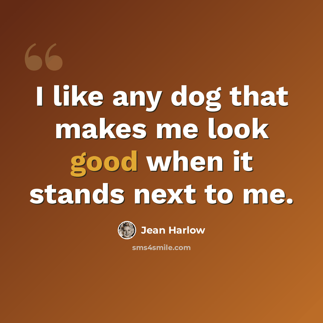 “I like any dog that makes me look good when it stands next to me.” quote by Jean Harlow