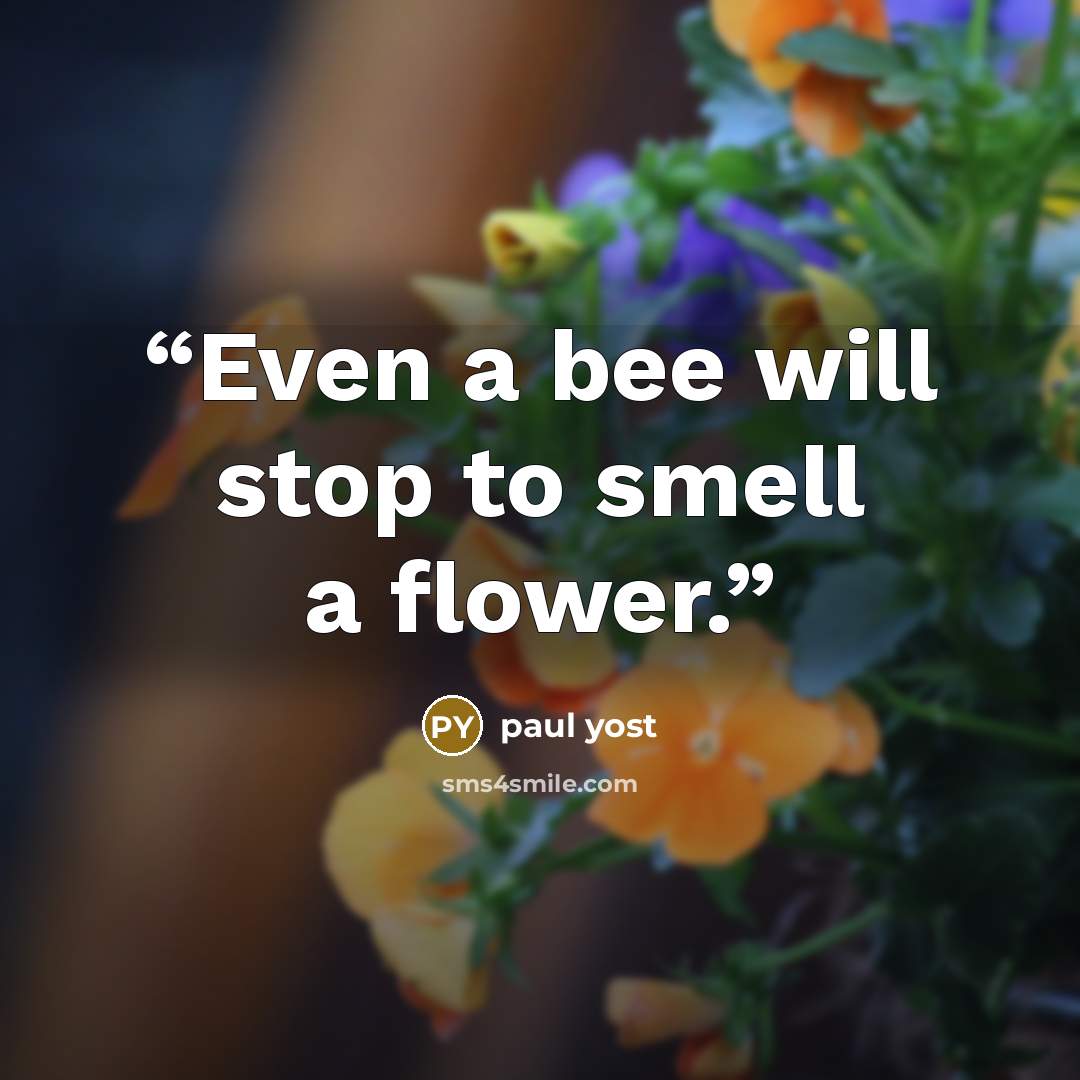 “Even a bee will stop to smell a flower.” quote by paul yost