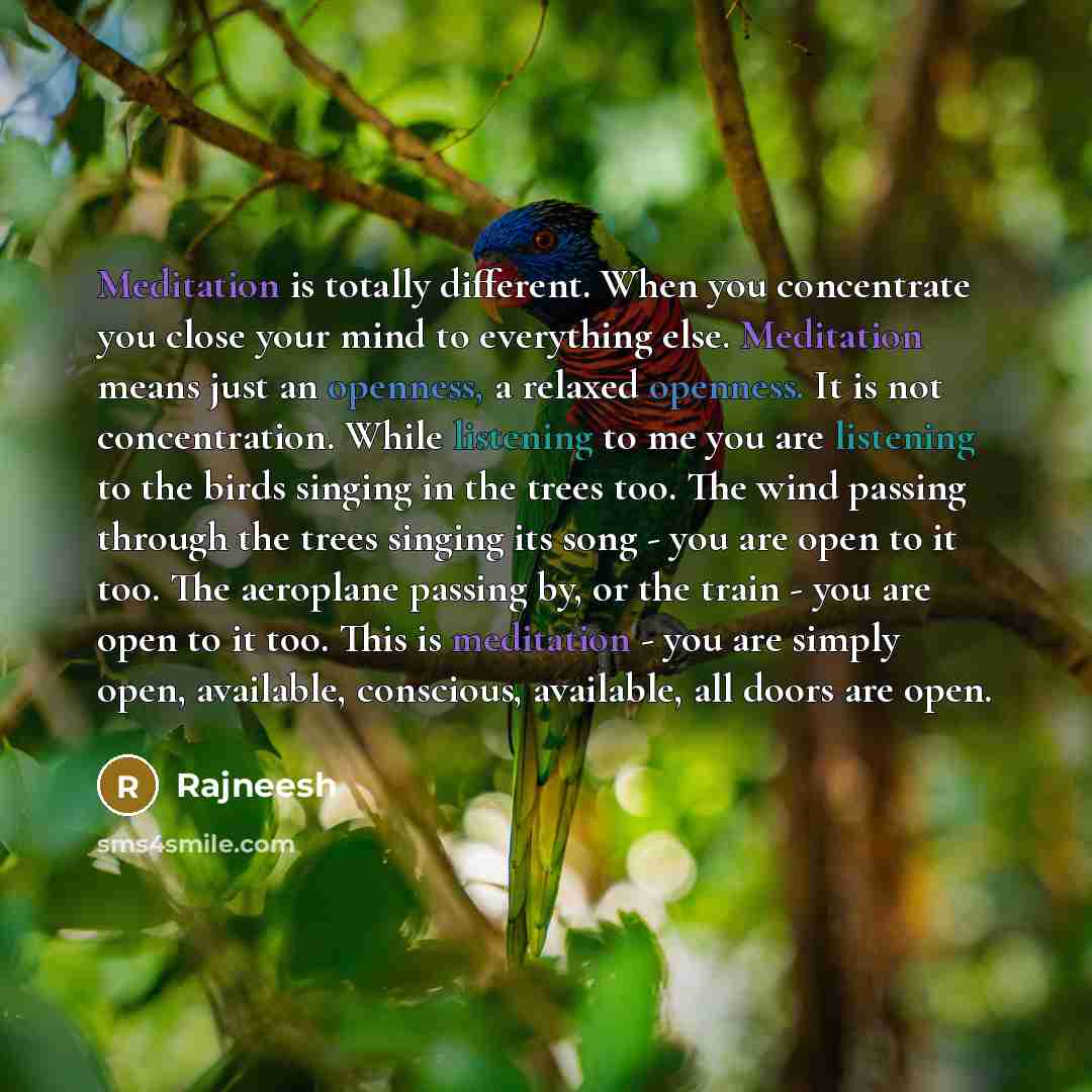 “Meditation is totally different. When you concentrate you close your mind to everything else. Meditation means just an openness, a relaxed openness. It is not concentration. While listening to me you are listening to the birds singing in the trees too. The wind passing through the trees singing…” quote by Rajneesh