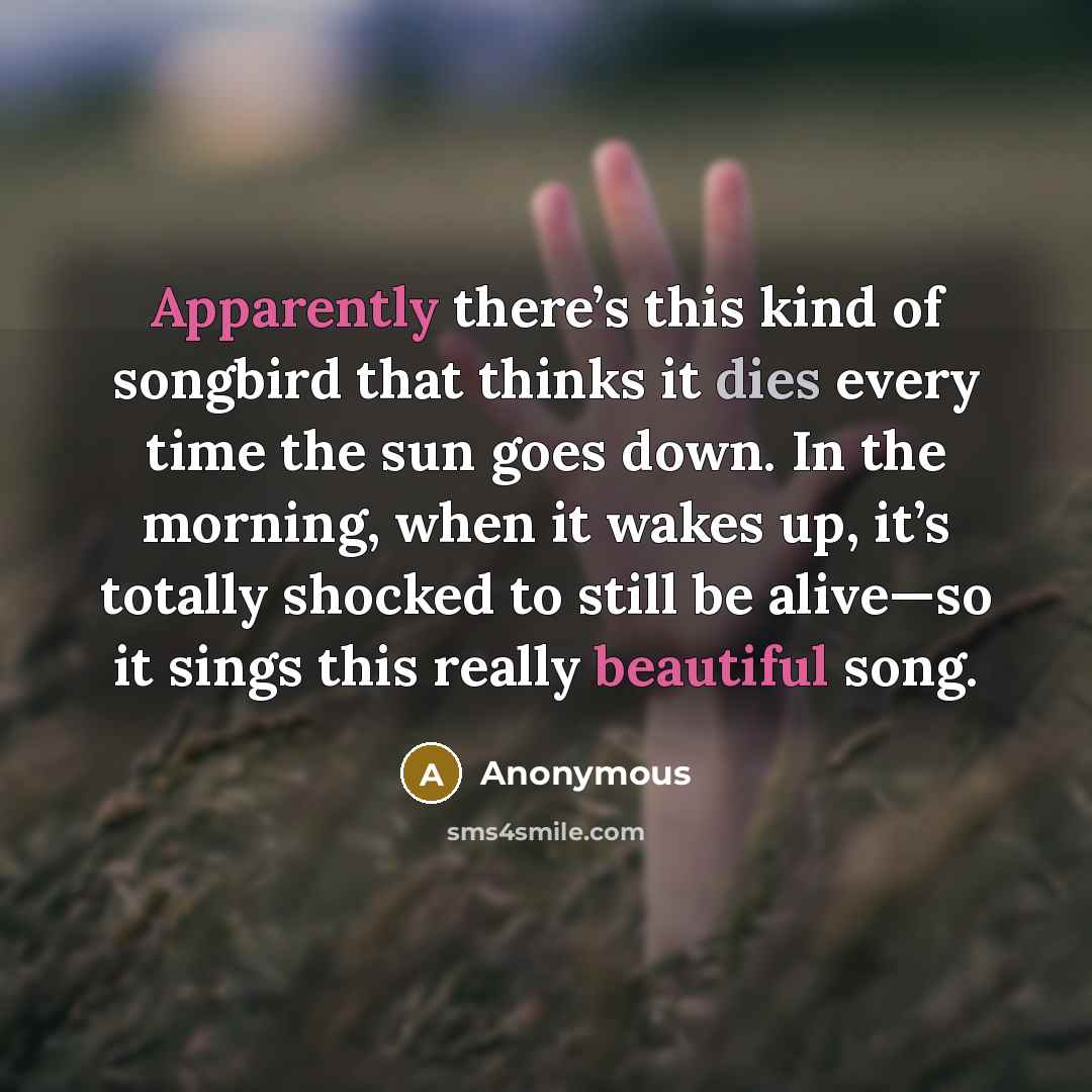 “Apparently there’s this kind of songbird that thinks it dies every time the sun goes down. In the morning, when it wakes up, it’s totally shocked to still be alive—so it sings this really beautiful song.” quote by Anonymous