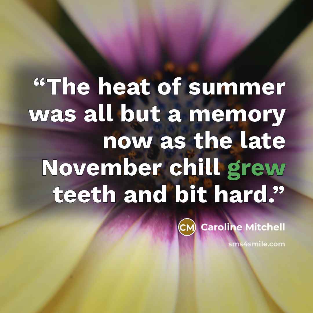 “The heat of summer was all but a memory now as the late November chill grew teeth and bit hard.” quote by Caroline Mitchell