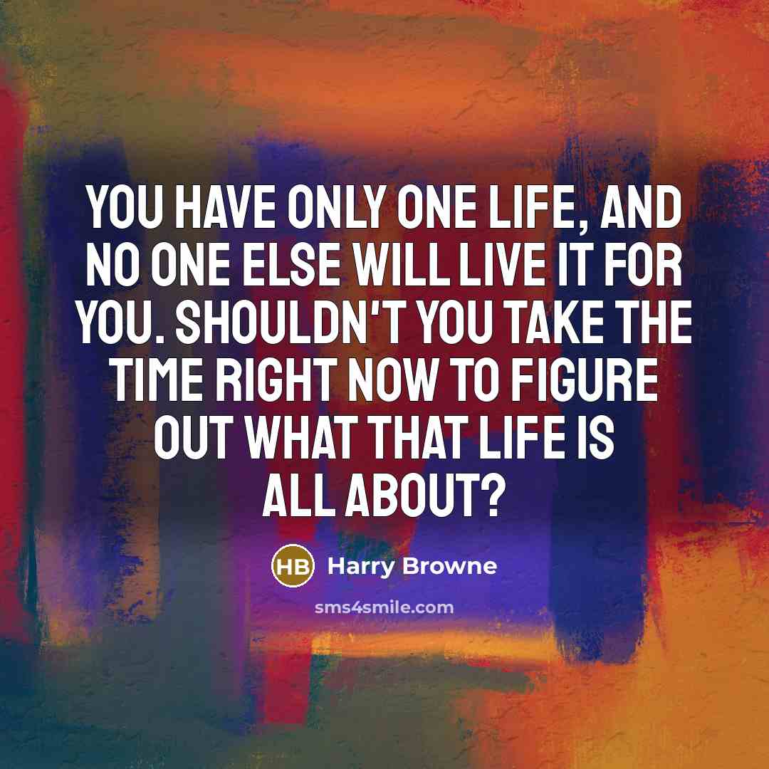 “You have only one life, and no one else will live it for you. Shouldn't you take the time right now to figure out what that life is all about?” quote by Harry Browne