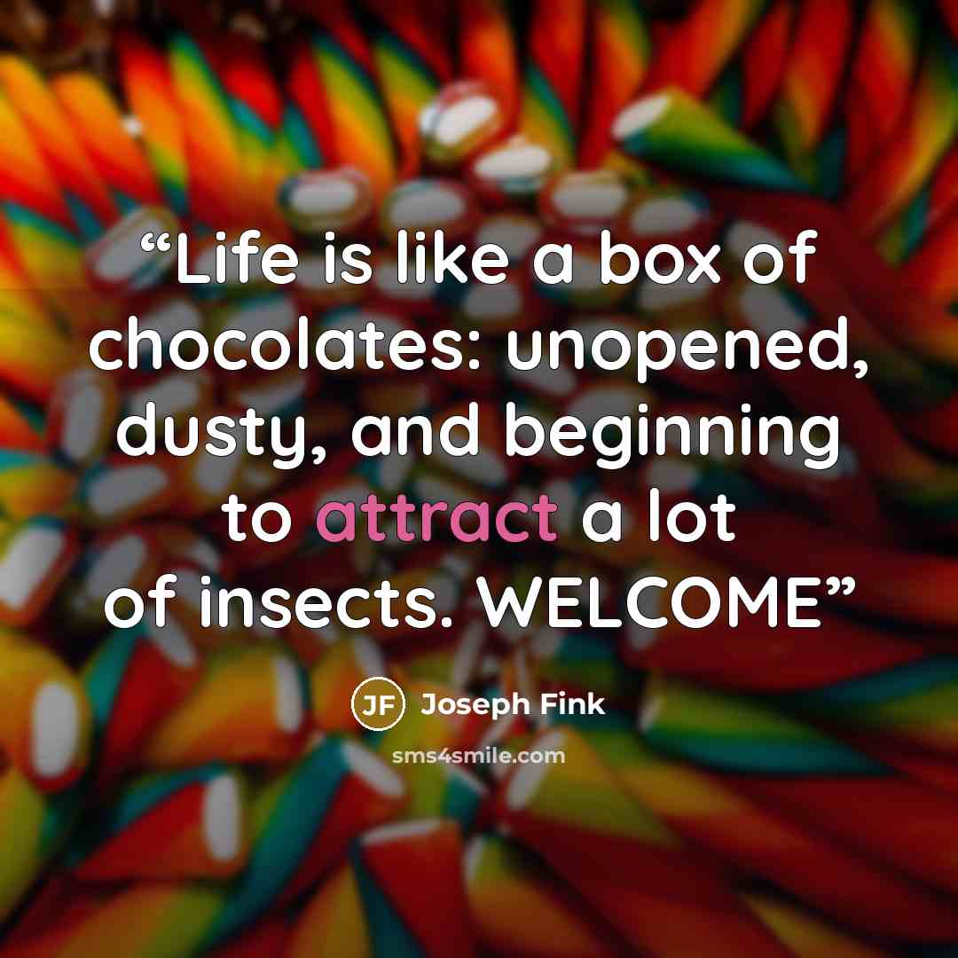 “Life is like a box of chocolates: unopened, dusty, and beginning to attract a lot of insects. WELCOME” quote by Joseph Fink