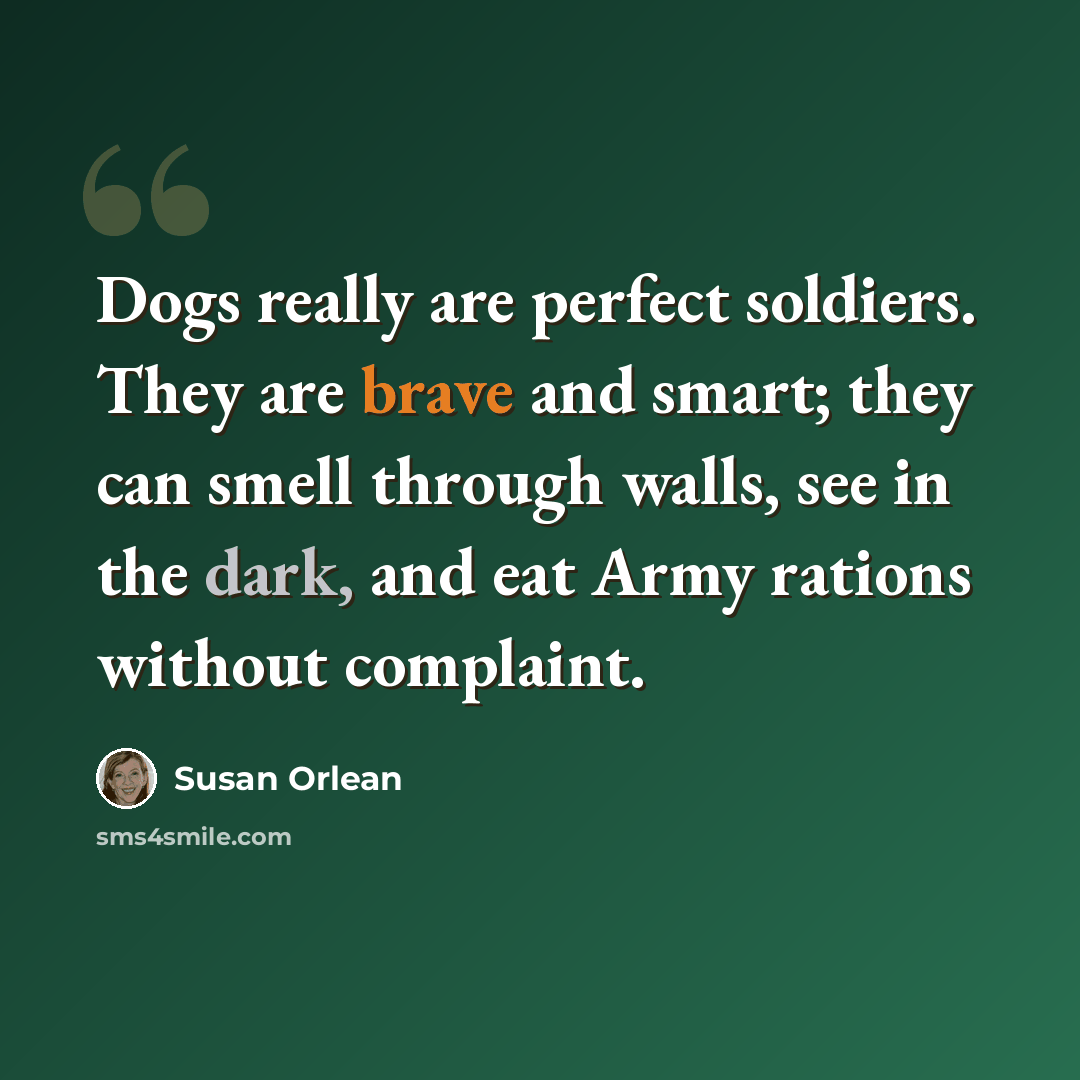 “Dogs really are perfect soldiers. They are brave and smart; they can smell through walls, see in the dark, and eat Army rations without complaint.” quote by Susan Orlean