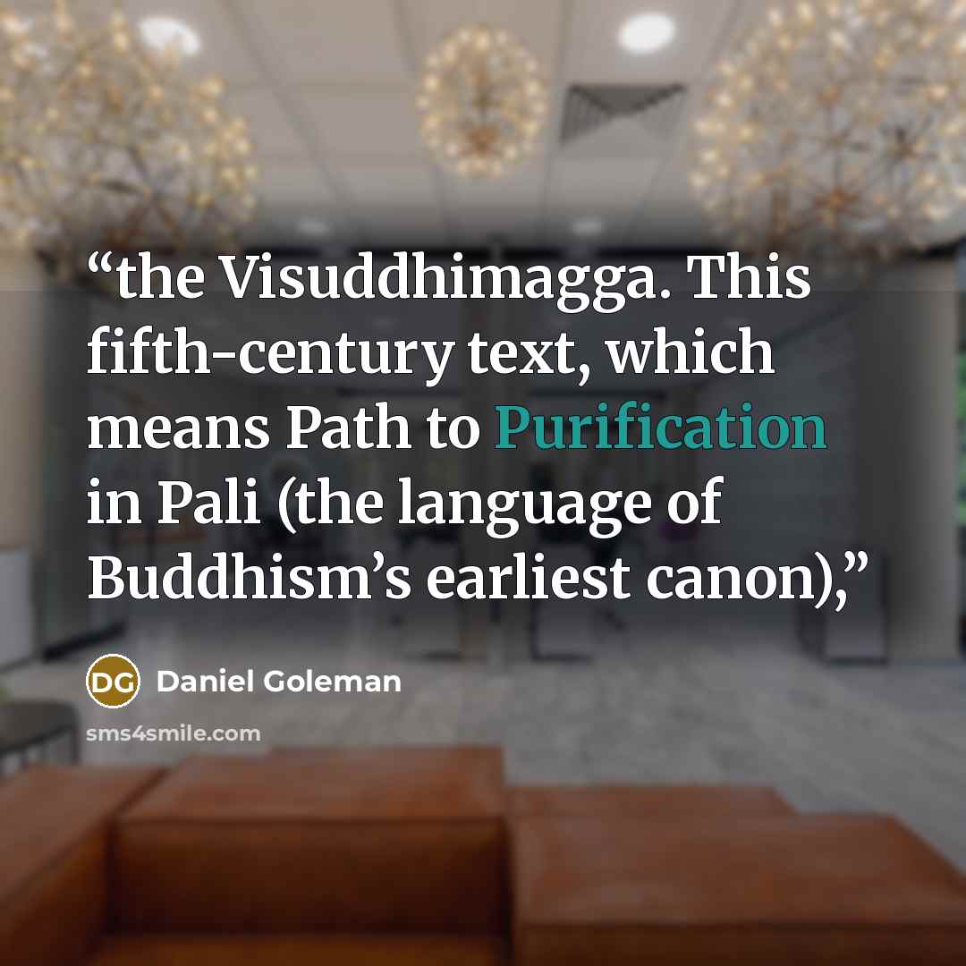 “the Visuddhimagga. This fifth-century text, which means Path to Purification in Pali (the language of Buddhism’s earliest canon),” quote by Daniel Goleman