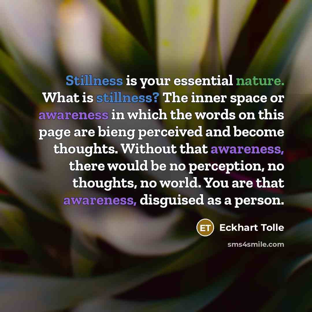“Stillness is your essential nature. What is stillness? The inner space or awareness in which the words on this page are bieng perceived and become thoughts. Without that awareness, there would be no perception, no thoughts, no world. You are that awareness, disguised as a person.” quote by Eckhart Tolle