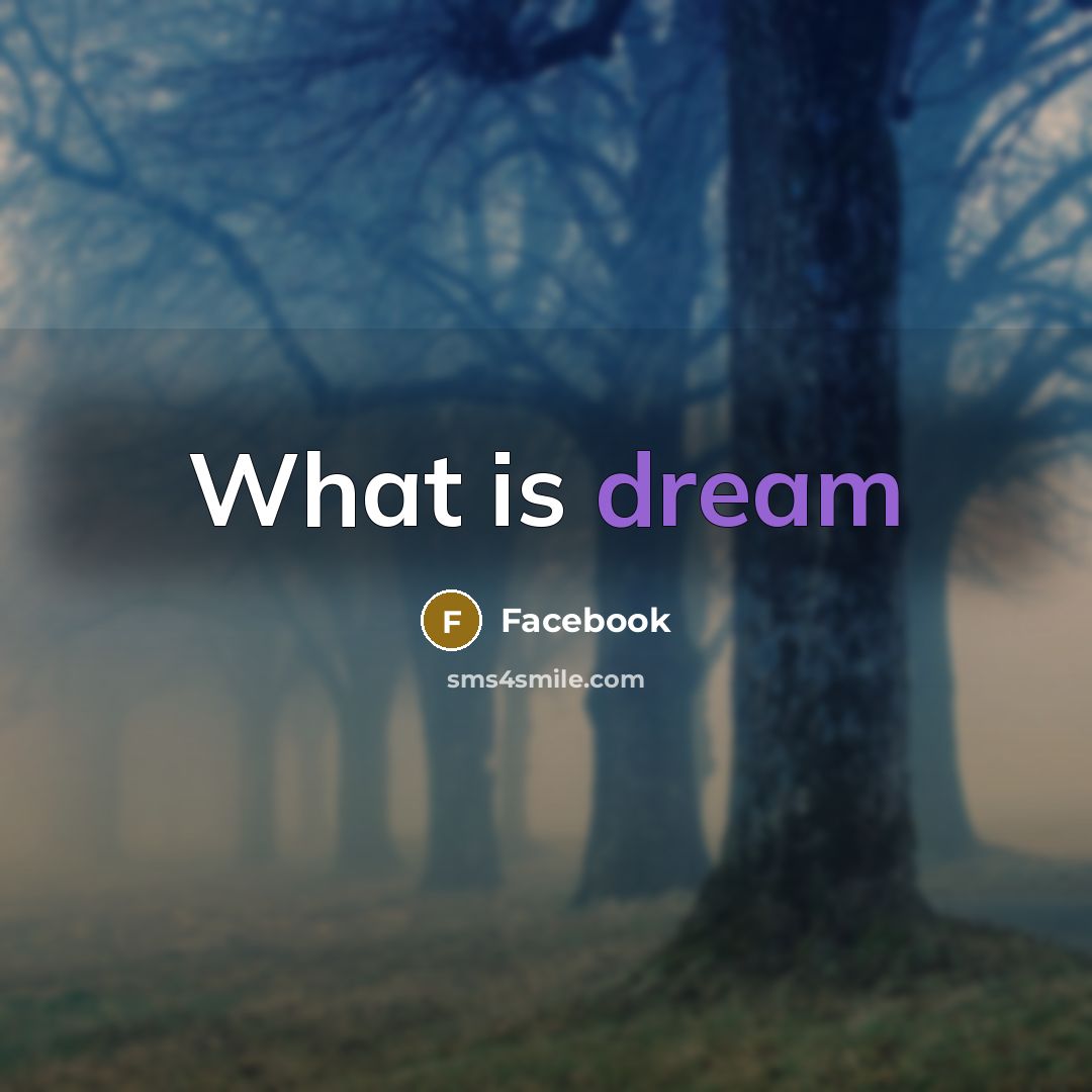 “What is dream” quote by Facebook