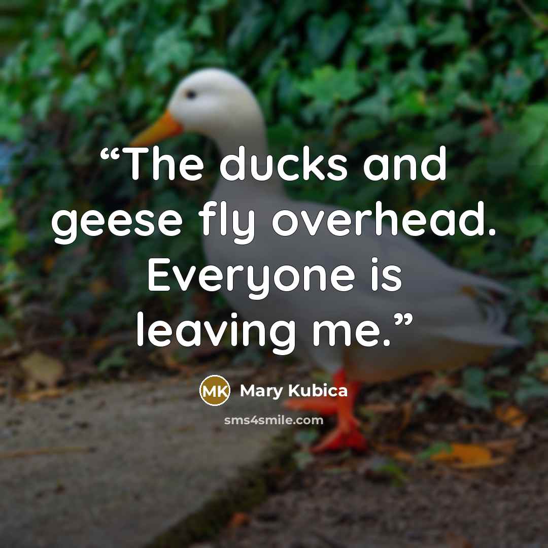 “The ducks and geese fly overhead. Everyone is leaving me.” quote by Mary Kubica