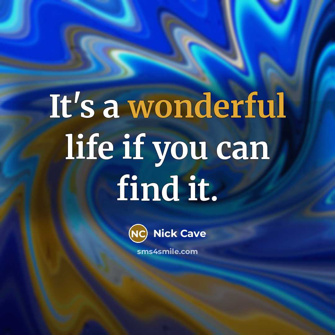 “It's a wonderful life if you can find it.” quote by Nick Cave