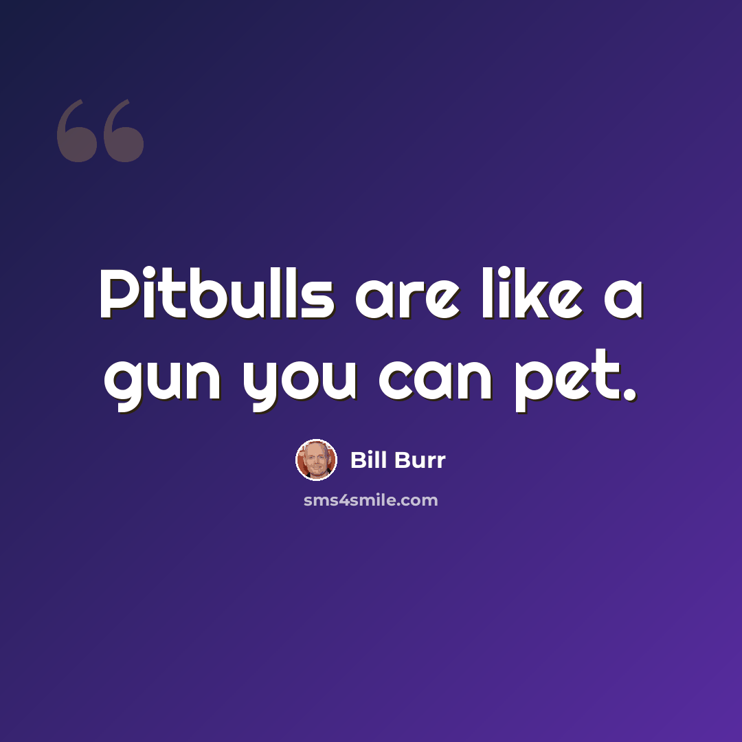 “Pitbulls are like a gun you can pet.” quote by Bill Burr