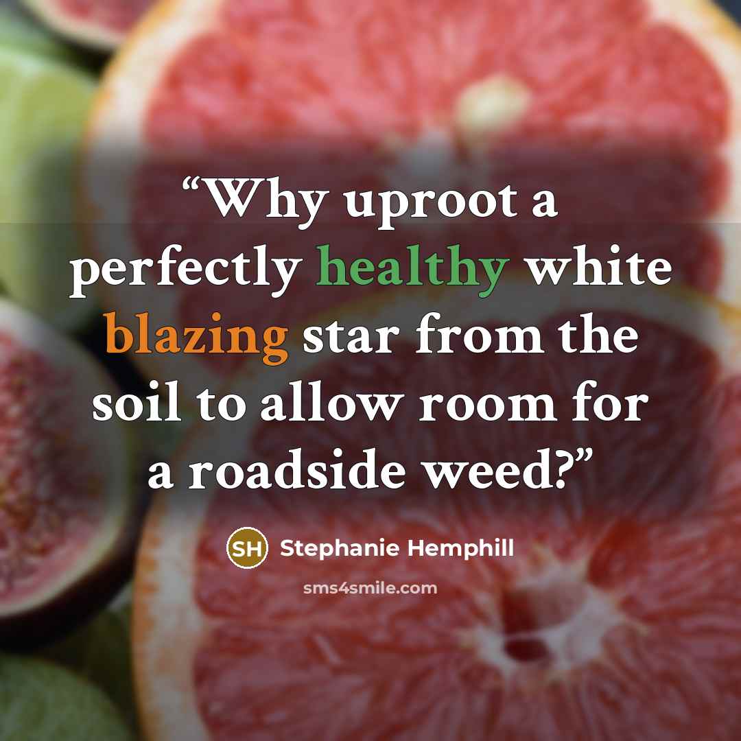 “Why uproot a perfectly healthy white blazing star from the soil to allow room for a roadside weed?” quote by Stephanie Hemphill