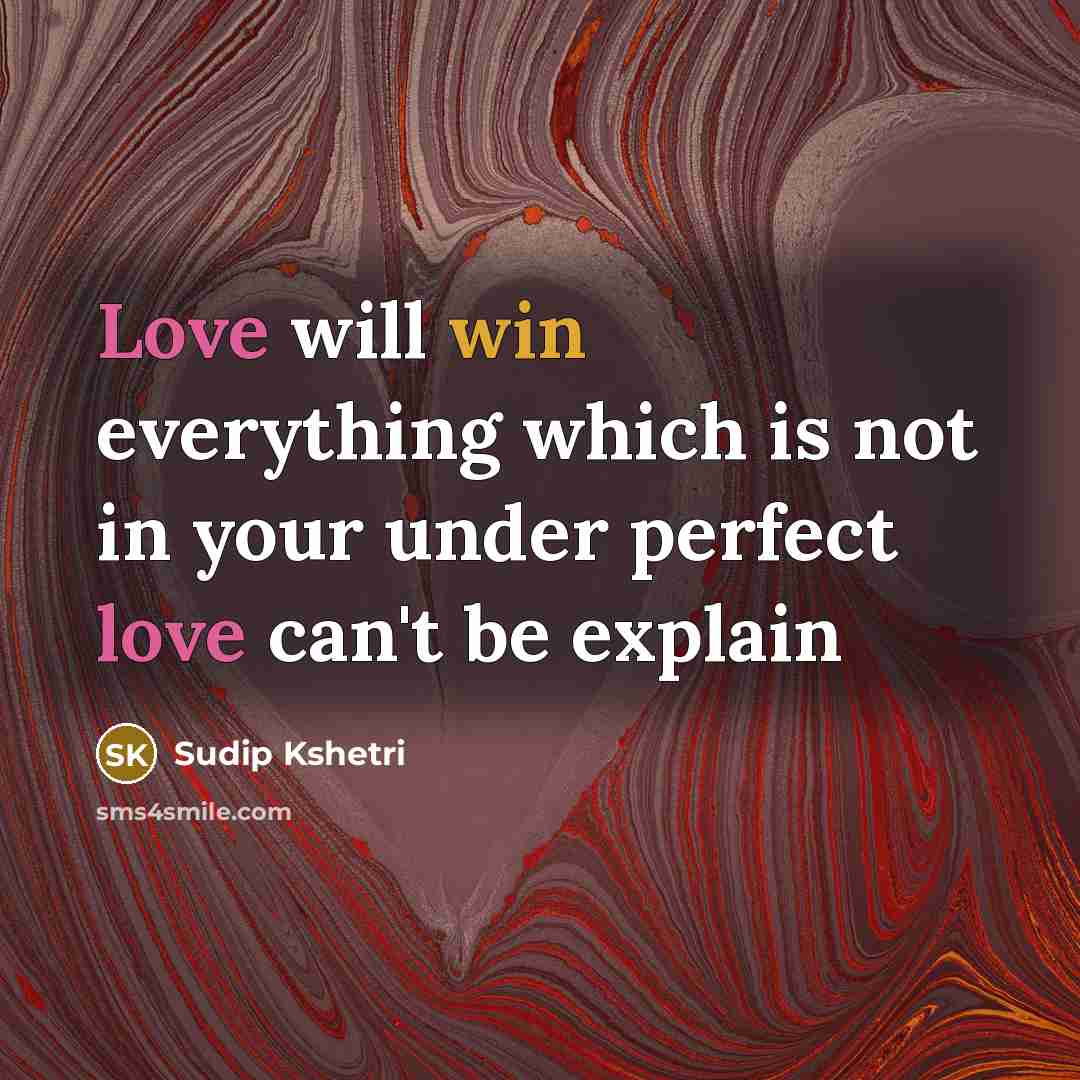 “Love will win everything which is not in your under perfect love can't be explain” quote by Sudip Kshetri
