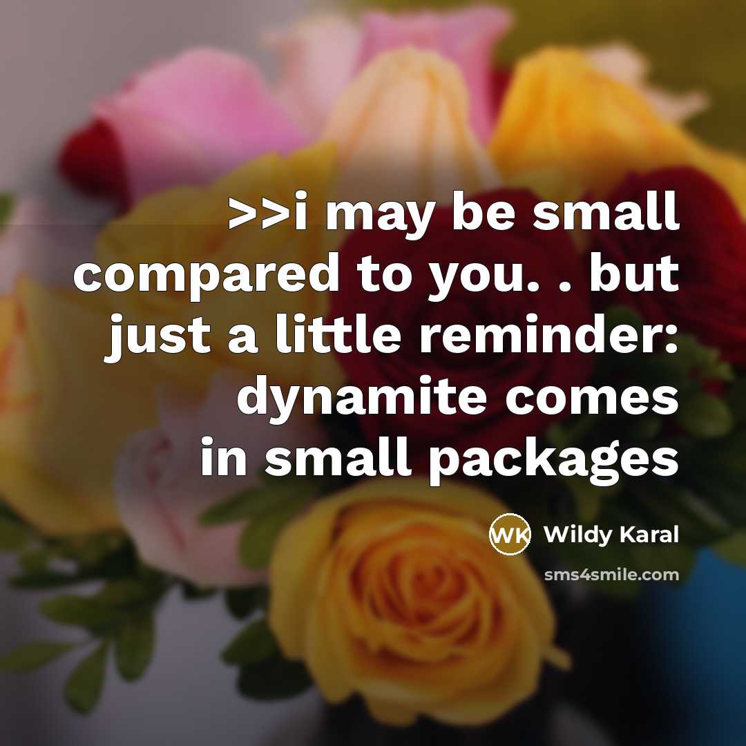 “>>i may be small compared to you. . but just a little reminder: dynamite comes in small packages” quote by Wildy Karal