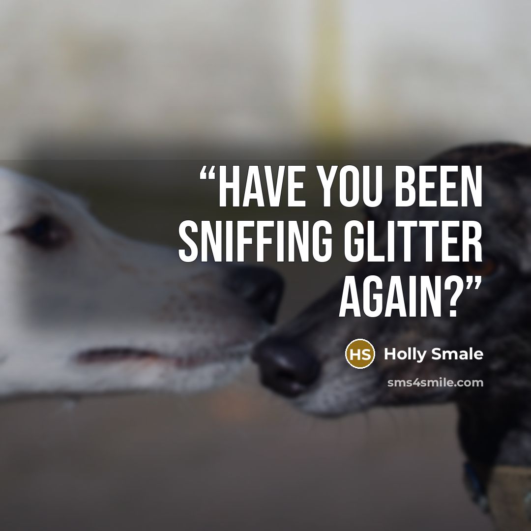 “Have you been sniffing glitter again?” quote by Holly Smale