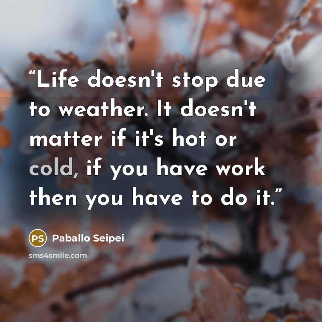 “Life doesn't stop due to weather. It doesn't matter if it's hot or cold, if you have work then you have to do it.” quote by Paballo Seipei