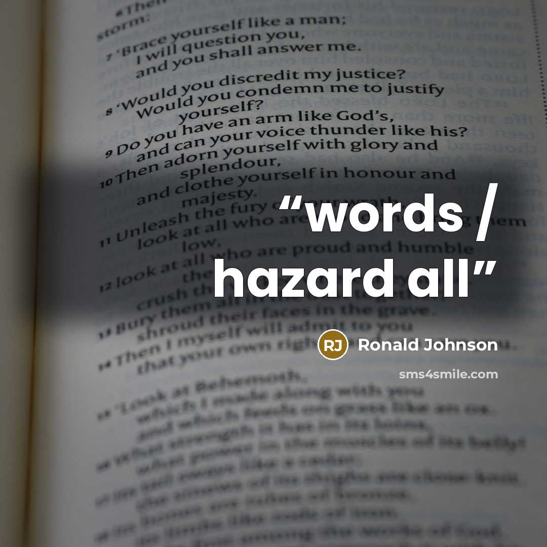 “words / hazard all” quote by Ronald Johnson