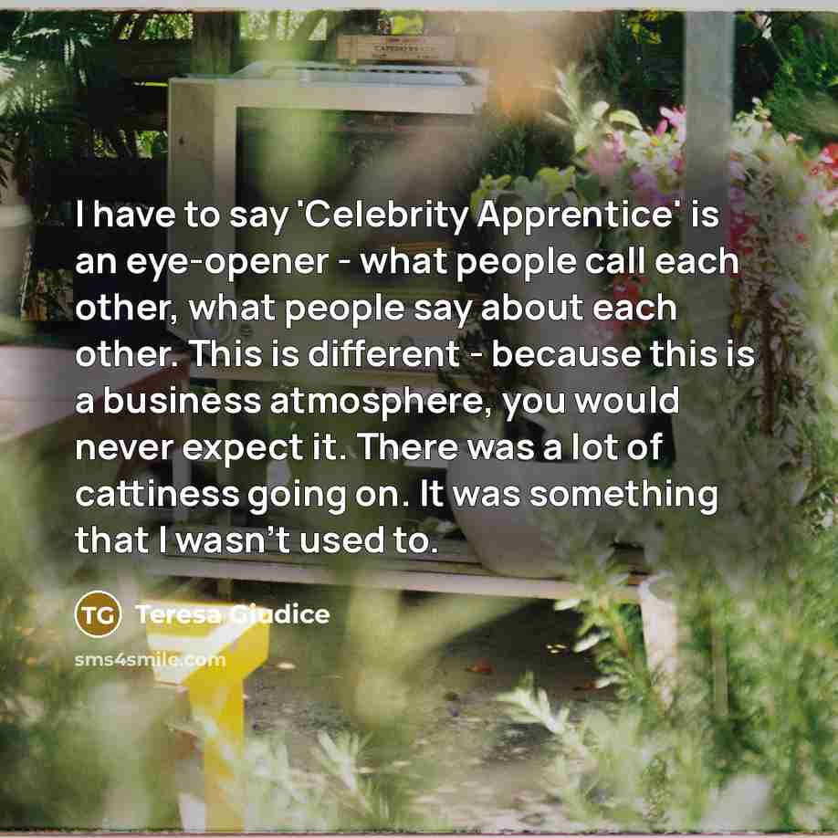 “I have to say 'Celebrity Apprentice' is an eye-opener - what people call each other, what people say about each other. This is different - because this is a business atmosphere, you would never expect it. There was a lot of cattiness going on. It was something that I wasn't used to.” quote by Teresa Giudice