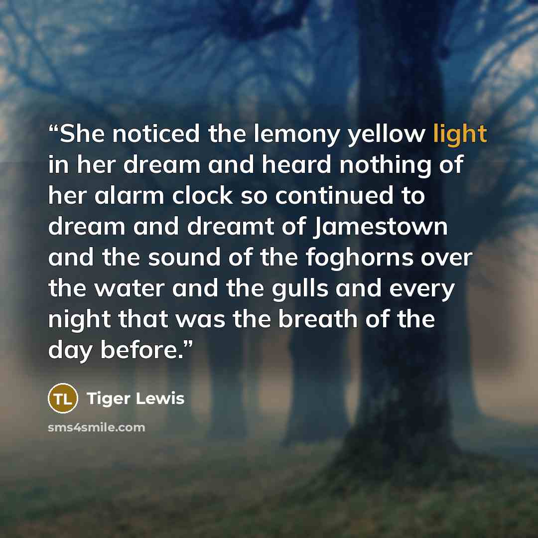“She noticed the lemony yellow light in her dream and heard nothing of her alarm clock so continued to dream and dreamt of Jamestown and the sound of the foghorns over the water and the gulls and every night that was the breath of the day before.” quote by Tiger Lewis