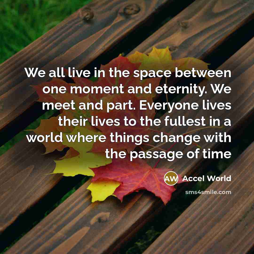 “We all live in the space between one moment and eternity. We meet and part. Everyone lives their lives to the fullest in a world where things change with the passage of time” quote by Accel World