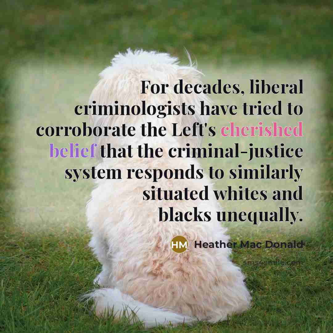 “For decades, liberal criminologists have tried to corroborate the Left's cherished belief that the criminal-justice system responds to similarly situated whites and blacks unequally.” quote by Heather Mac Donald