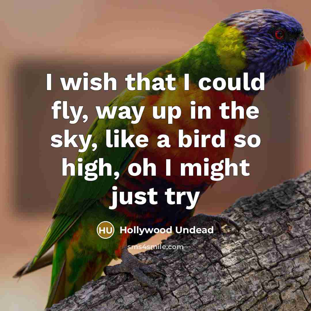 “I wish that I could fly, way up in the sky, like a bird so high, oh I might just try” quote by Hollywood Undead