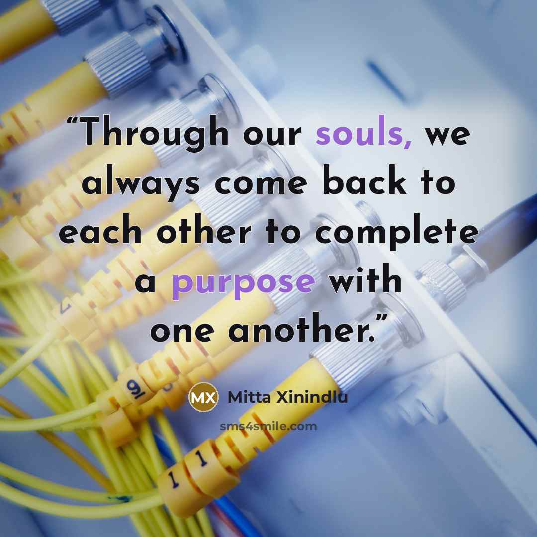 “Through our souls, we always come back to each other to complete a purpose with one another.” quote by Mitta Xinindlu