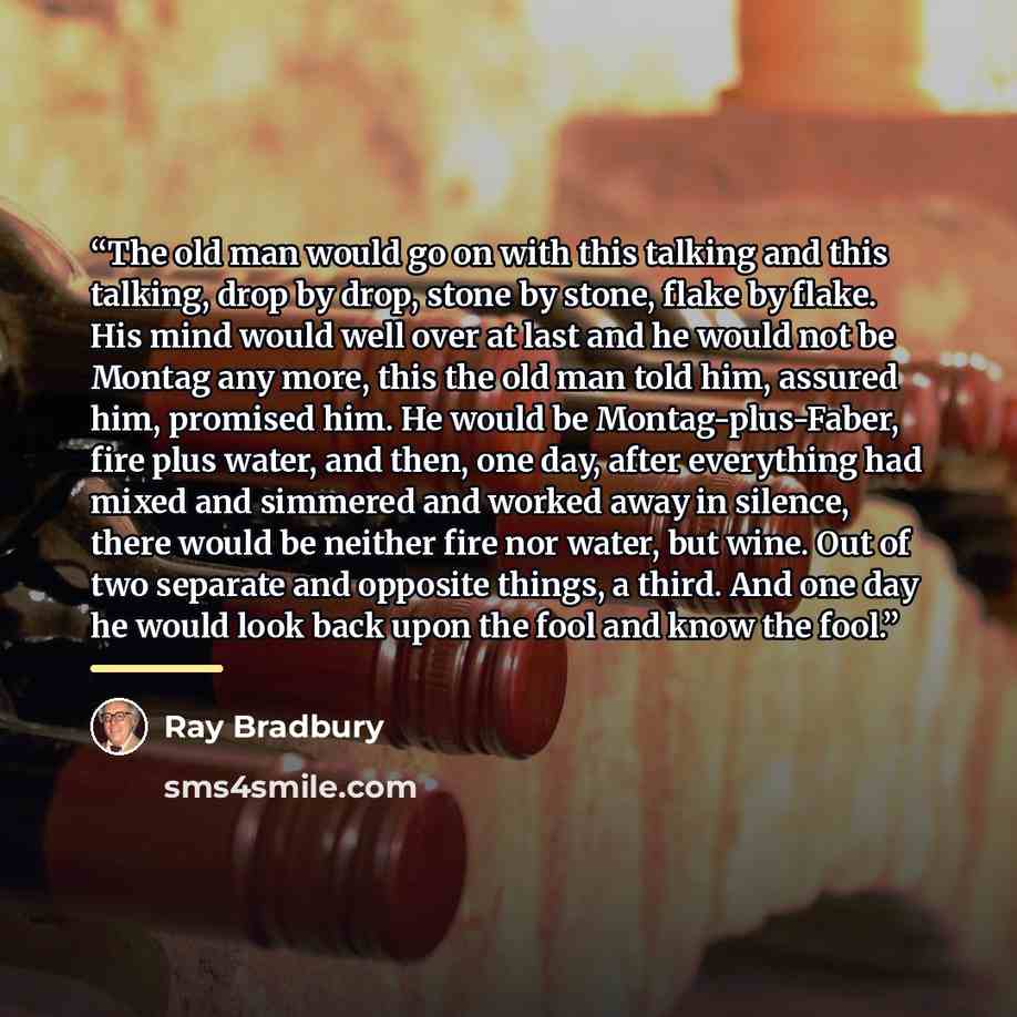 “The old man would go on with this talking and this talking, drop by drop, stone by stone, flake by flake. His mind would well over at last and he would not be Montag any more, this the old man told him, assured him, promised him. He would be Montag-plus-Faber, fire plus water, and then, one day…” quote by Ray Bradbury