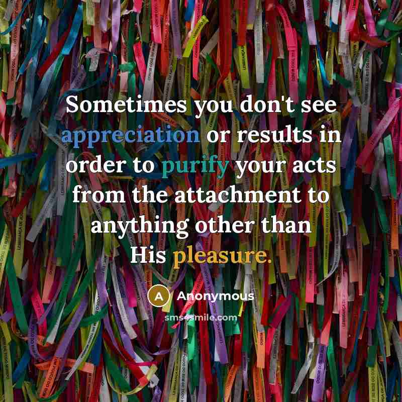 “Sometimes you don't see appreciation or results in order to purify your acts from the attachment to anything other than His pleasure.” quote by Anonymous