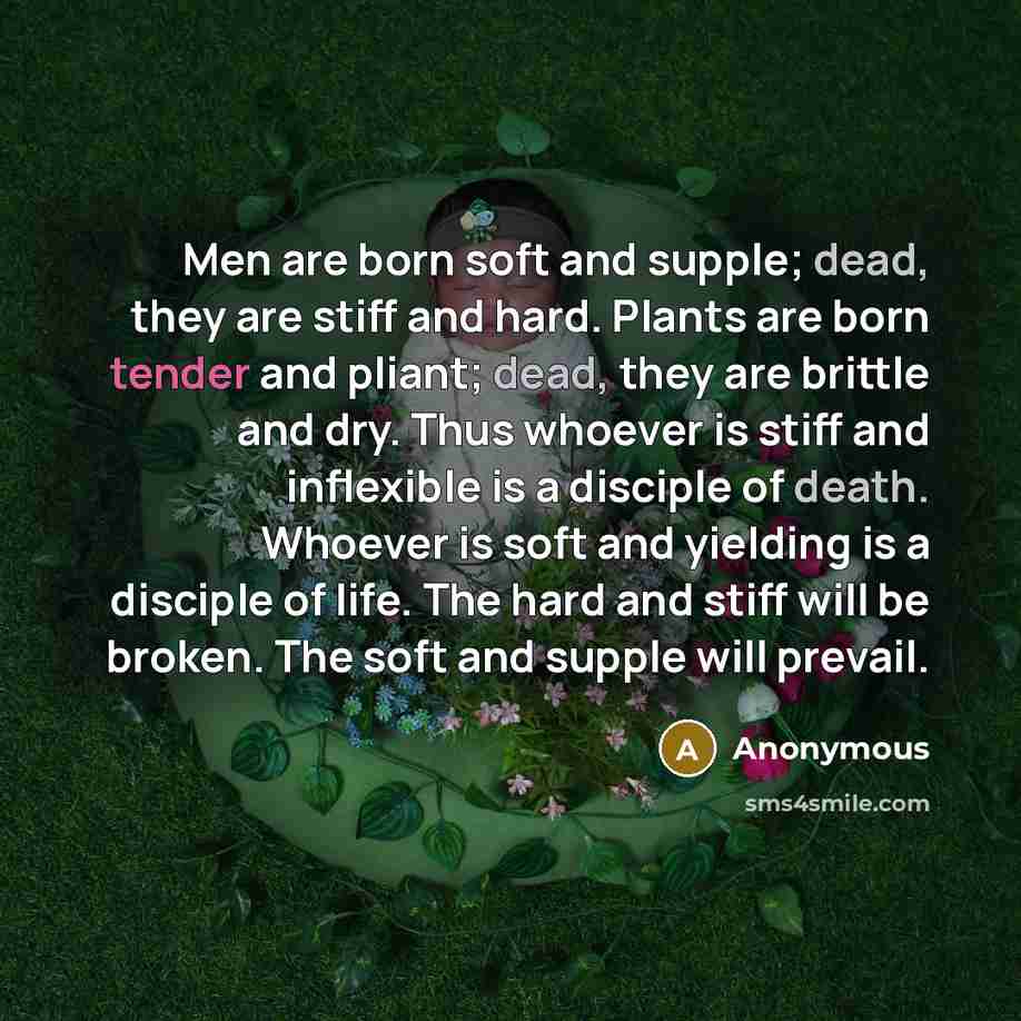 “Men are born soft and supple; dead, they are stiff and hard. Plants are born tender and pliant; dead, they are brittle and dry. Thus whoever is stiff and inflexible is a disciple of death. Whoever is soft and yielding is a disciple of life. The hard and stiff will be broken. The soft and supple…” quote by Anonymous