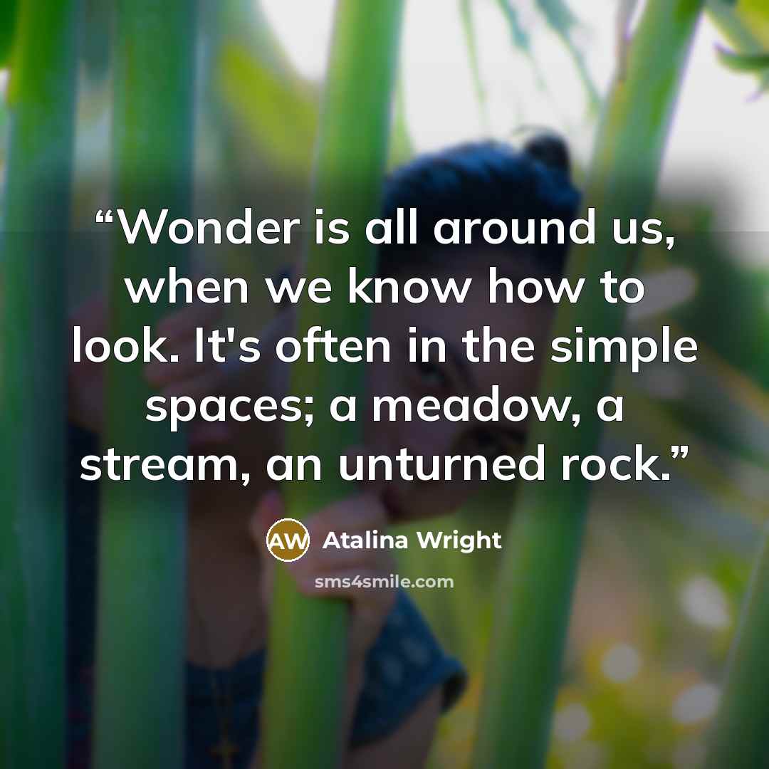 “Wonder is all around us, when we know how to look. It's often in the simple spaces; a meadow, a stream, an unturned rock.” quote by Atalina Wright