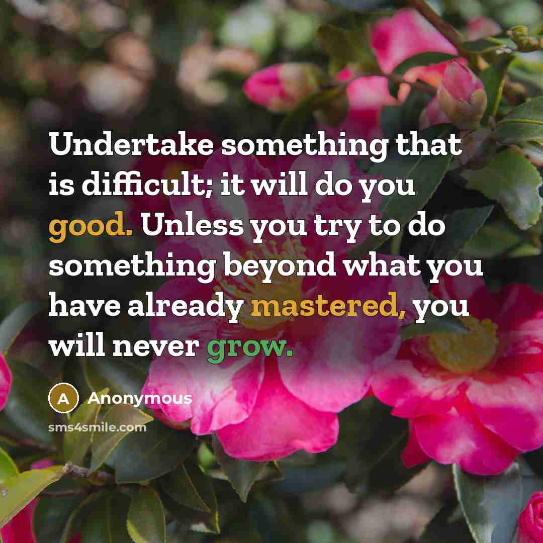 “Undertake something that is difficult; it will do you good. Unless you try to do something beyond what you have already mastered, you will never grow.” quote by Anonymous