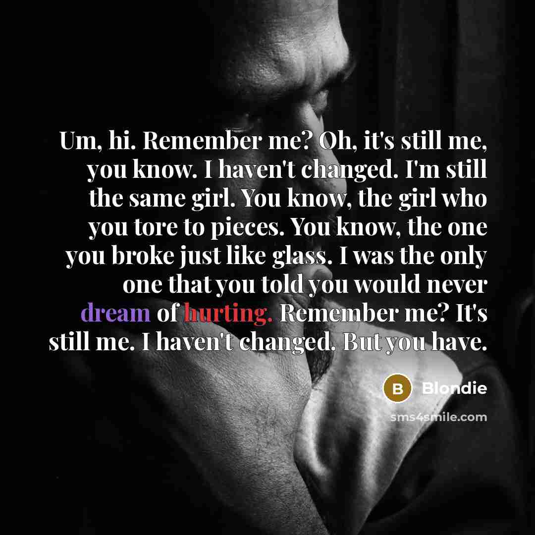“Um, hi. Remember me? Oh, it's still me, you know. I haven't changed. I'm still the same girl. You know, the girl who you tore to pieces. You know, the one you broke just like glass. I was the only one that you told you would never dream of hurting. Remember me? It's still me. I haven't changed…” quote by Blondie