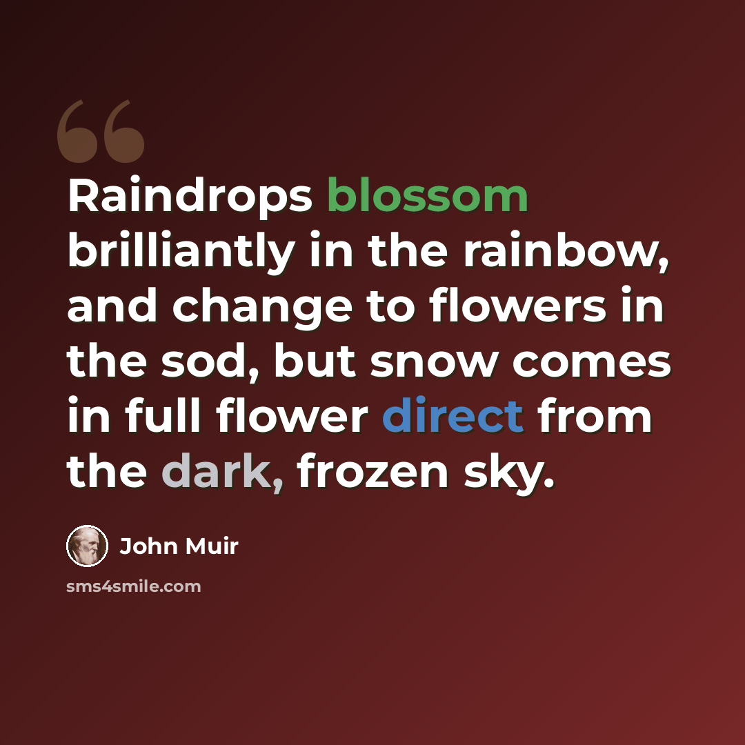 “Raindrops blossom brilliantly in the rainbow, and change to flowers in the sod, but snow comes in full flower direct from the dark, frozen sky.” quote by John Muir