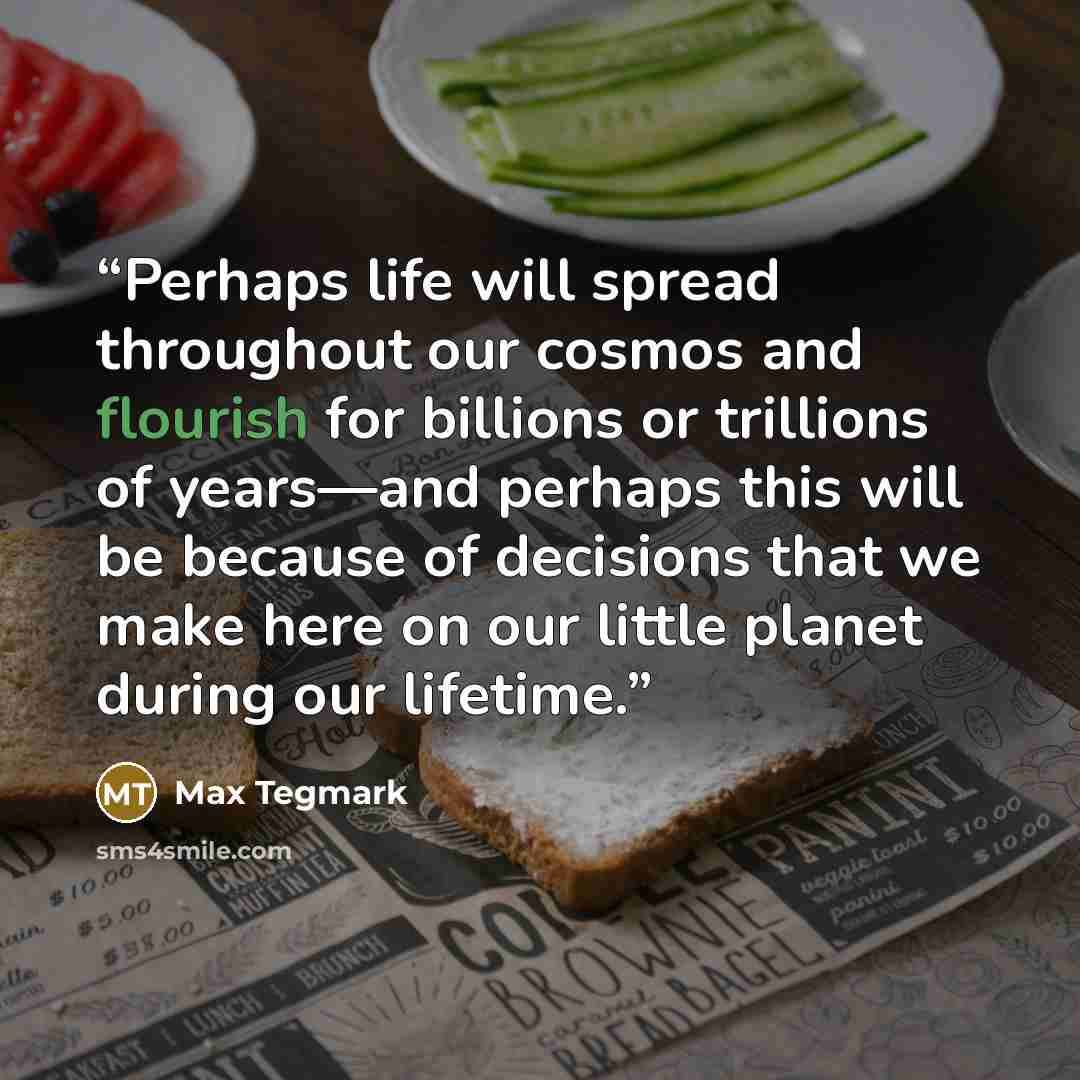 “Perhaps life will spread throughout our cosmos and flourish for billions or trillions of years—and perhaps this will be because of decisions that we make here on our little planet during our lifetime.” quote by Max Tegmark