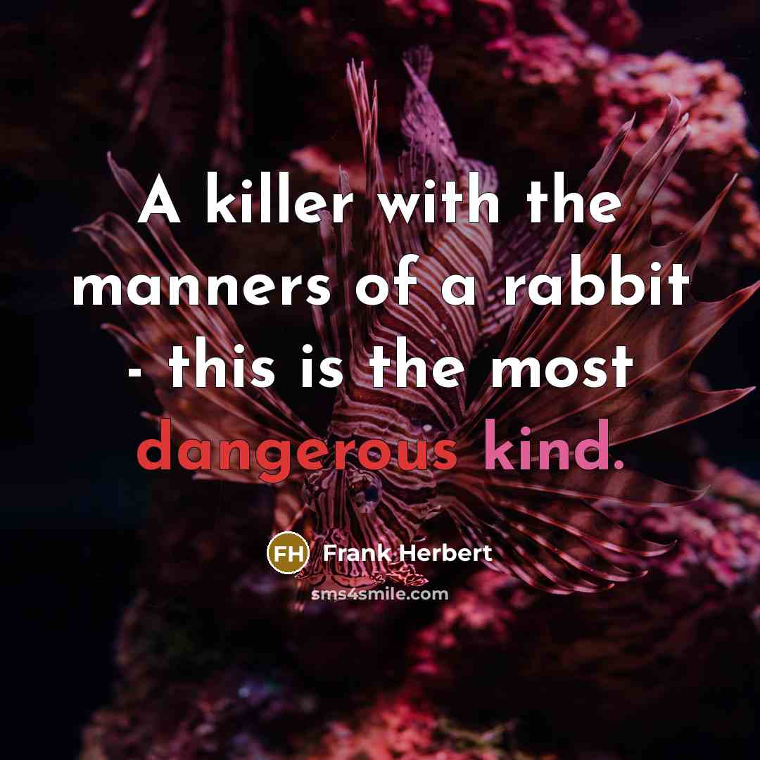“A killer with the manners of a rabbit - this is the most dangerous kind.” quote by Frank Herbert