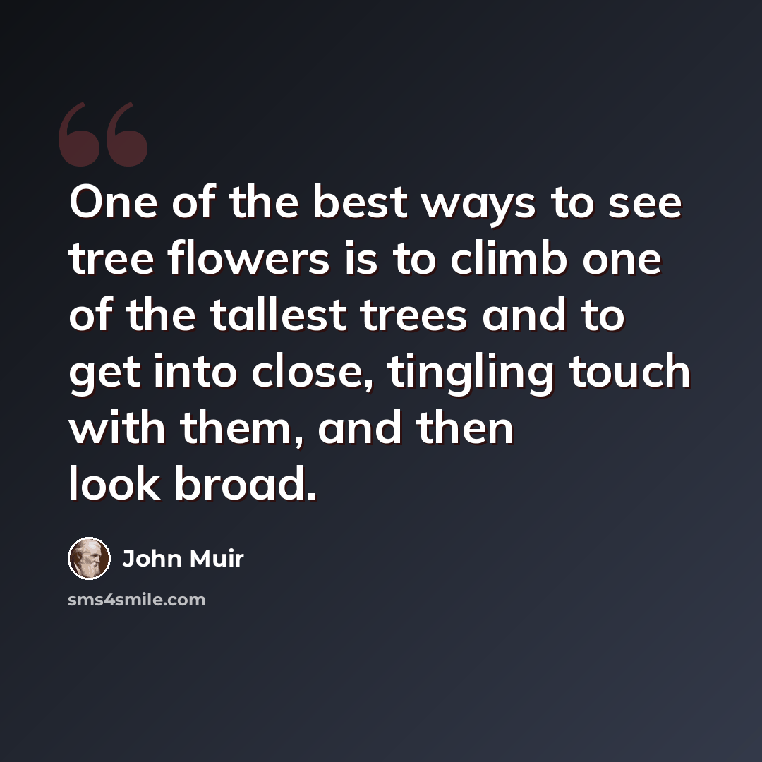 “One of the best ways to see tree flowers is to climb one of the tallest trees and to get into close, tingling touch with them, and then look broad.” quote by John Muir