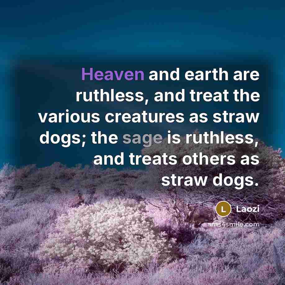 “Heaven and earth are ruthless, and treat the various creatures as straw dogs; the sage is ruthless, and treats others as straw dogs.” quote by Laozi