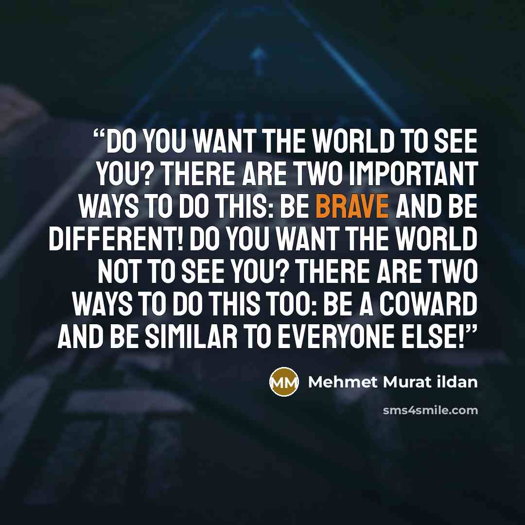 “Do you want the world to see you? There are two important ways to do this: Be brave and be different! Do you want the world not to see you? There are two ways to do this too: Be a coward and be similar to everyone else!” quote by Mehmet Murat ildan