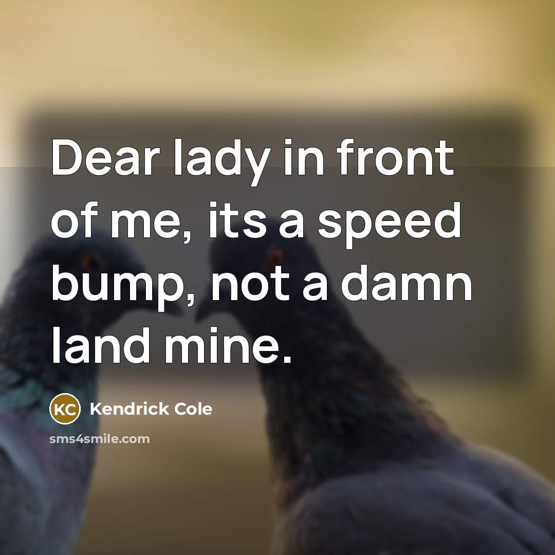 “Dear lady in front of me, its a speed bump, not a damn land mine.” quote by Kendrick Cole