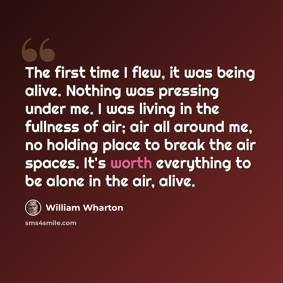“The first time I flew, it was being alive. Nothing was pressing under me. I was living in the fullness of air; air all around me, no holding place to break the air spaces. It's worth everything to be alone in the air, alive.” quote by William Wharton