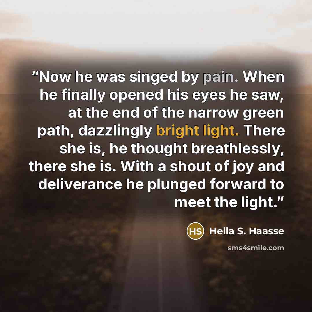 “Now he was singed by pain. When he finally opened his eyes he saw, at the end of the narrow green path, dazzlingly bright light. There she is, he thought breathlessly, there she is. With a shout of joy and deliverance he plunged forward to meet the light.” quote by Hella S. Haasse