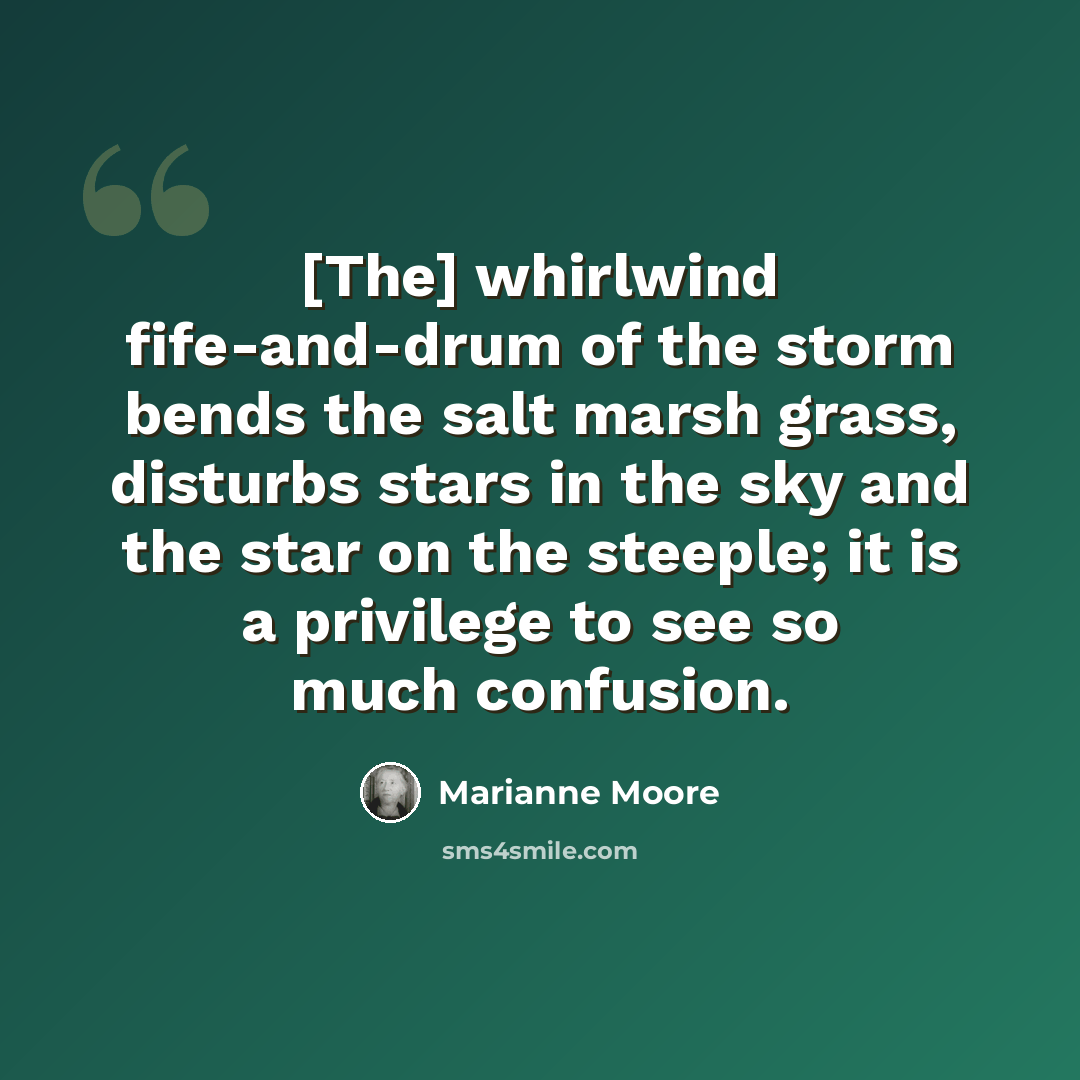“[The] whirlwind fife-and-drum of the storm bends the salt marsh grass, disturbs stars in the sky and the star on the steeple; it is a privilege to see so much confusion.” quote by Marianne Moore