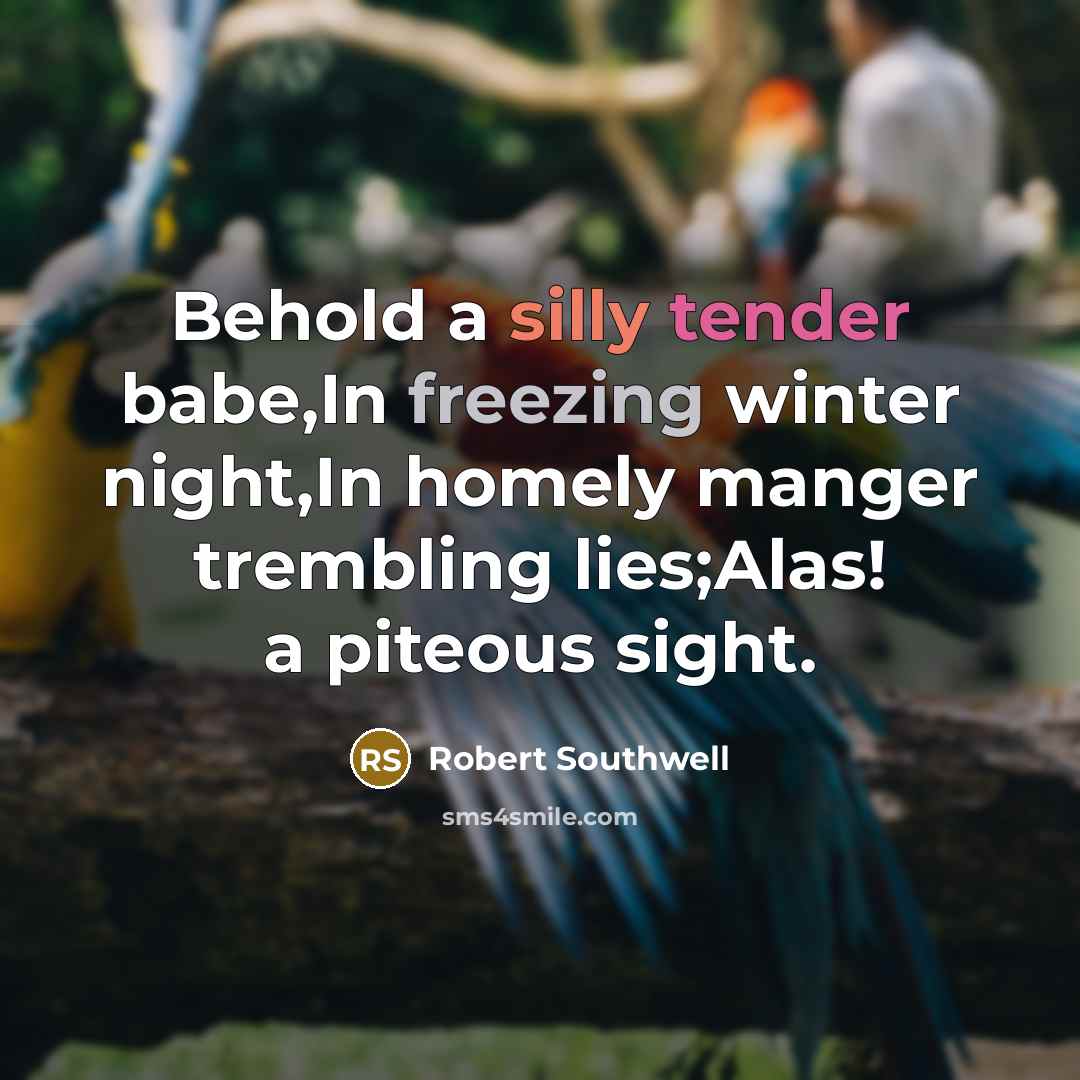 “Behold a silly tender babe,In freezing winter night,In homely manger trembling lies;Alas! a piteous sight.” quote by Robert Southwell