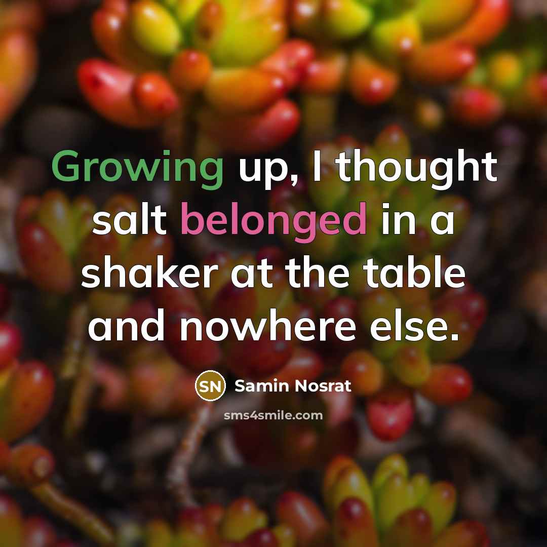 “Growing up, I thought salt belonged in a shaker at the table and nowhere else.” quote by Samin Nosrat