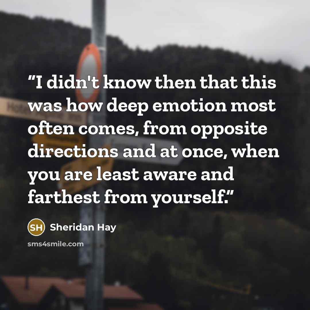 “I didn't know then that this was how deep emotion most often comes, from opposite directions and at once, when you are least aware and farthest from yourself.” quote by Sheridan Hay
