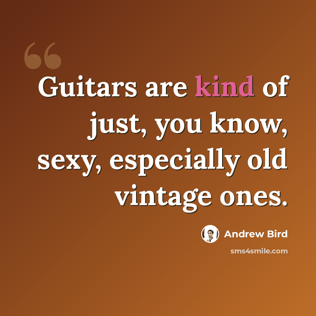 “Guitars are kind of just, you know, sexy, especially old vintage ones.” quote by Andrew Bird