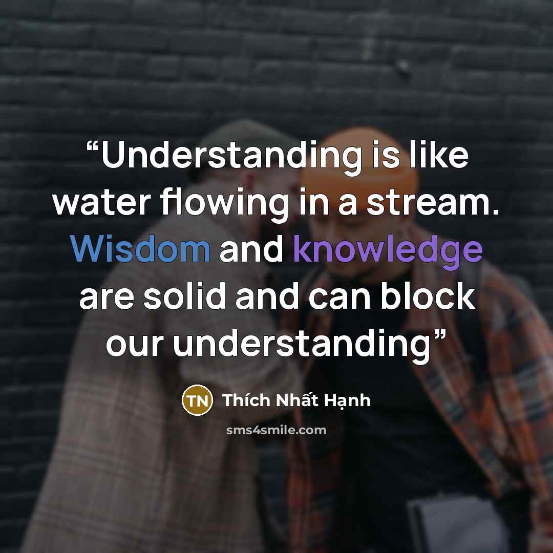 “Understanding is like water flowing in a stream. Wisdom and knowledge are solid and can block our understanding” quote by Thich Nhat Hanh