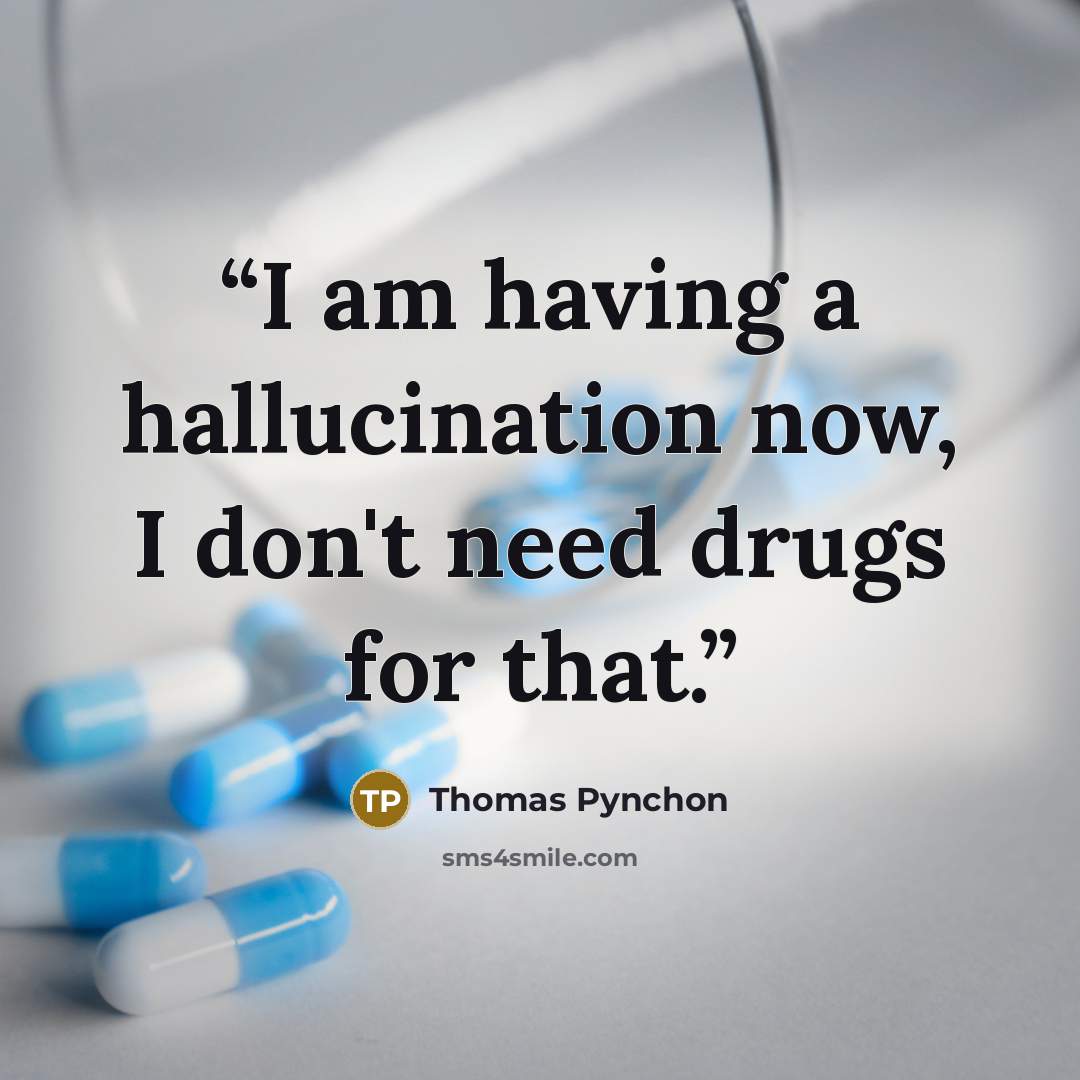 “I am having a hallucination now, I don't need drugs for that.” quote by Thomas Pynchon
