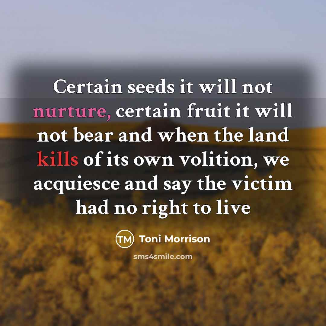 “Certain seeds it will not nurture, certain fruit it will not bear and when the land kills of its own volition, we acquiesce and say the victim had no right to live” quote by Toni Morrison